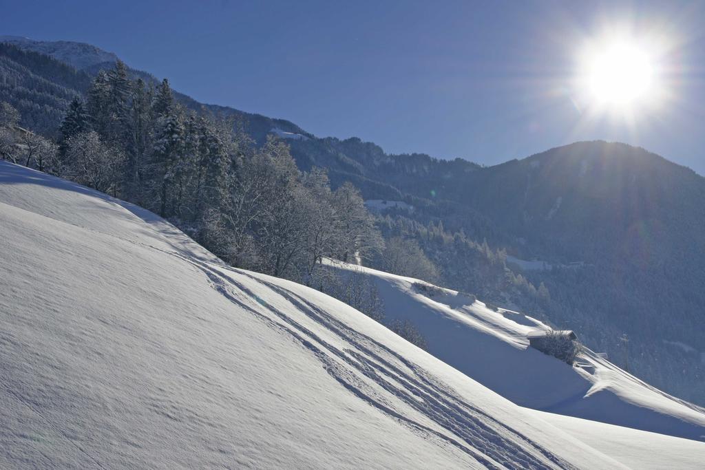 Haus Alpenfriede Διαμέρισμα Ramsau im Zillertal Εξωτερικό φωτογραφία