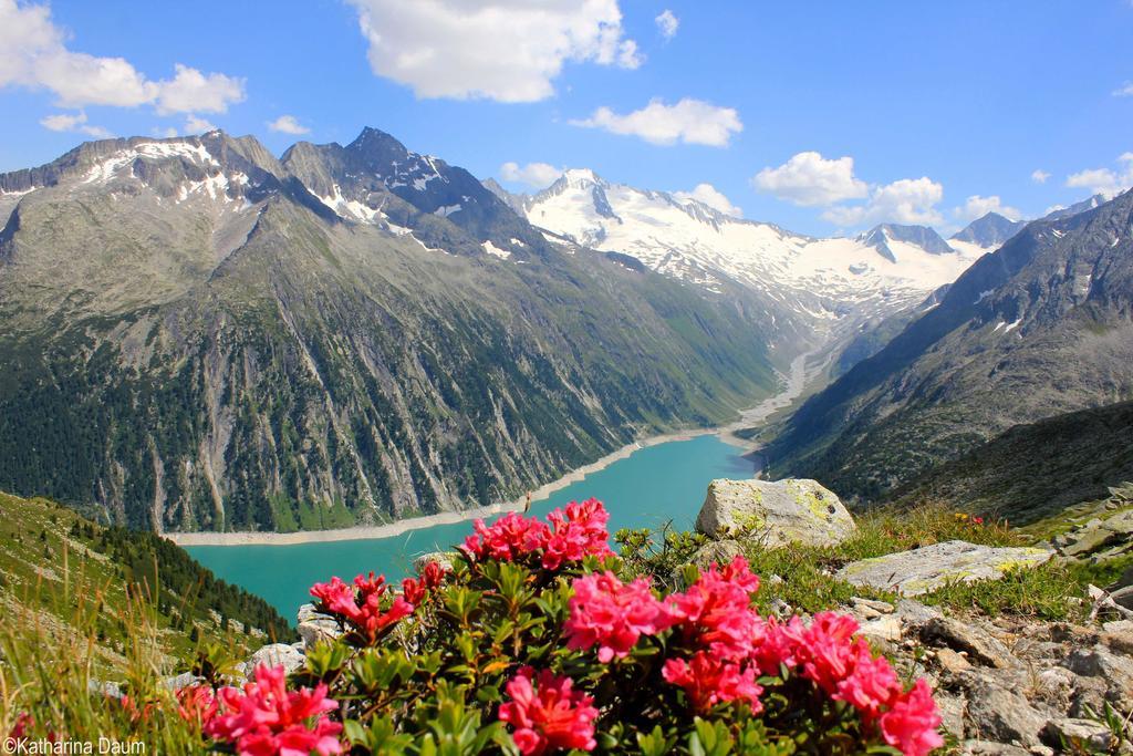 Haus Alpenfriede Διαμέρισμα Ramsau im Zillertal Εξωτερικό φωτογραφία